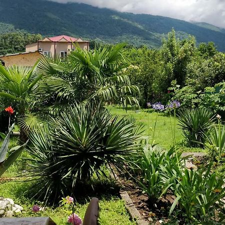 Tikhaya Gavan Guest House Gagra Exteriér fotografie