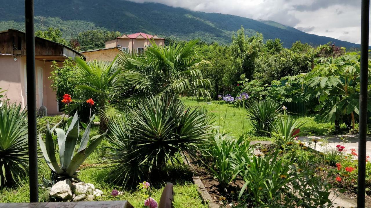 Tikhaya Gavan Guest House Gagra Exteriér fotografie