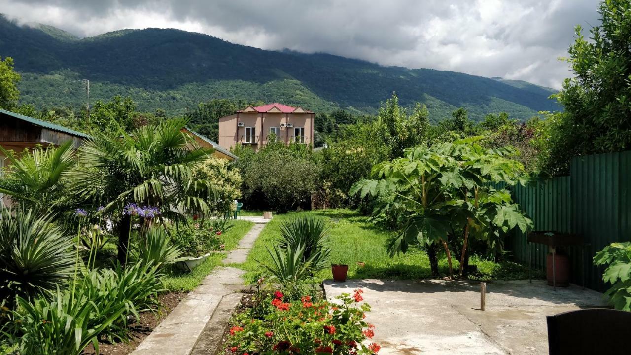 Tikhaya Gavan Guest House Gagra Exteriér fotografie